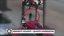 Immgrati violenti, quante aggressioni