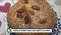 Pizza e panettone con insetti e larve