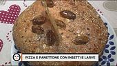 Pizza e panettone con insetti e larve