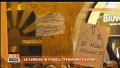 Sardine