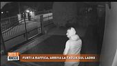 La taglia sul ladro