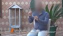 Lo strano comportamento di Paolo