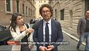 La guerra dei grillini