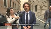 La guerra dei grillini