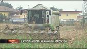 I pericoli della svolta verde