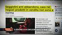 La confusione del Governo