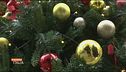 Natale in Parlamento