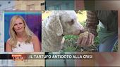 Il tartufo antidoto alla crisi