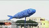 Sardine in piazza