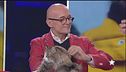 Signorini e lo spot de "Il grande fratello"