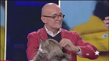 Signorini e lo spot de "Il grande fratello"