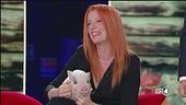 La campagna di Michela Brambilla
