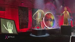 La biennale chiama... l'arte risponde così