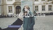 Il Book Face Style in versione cinematografica