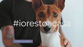 #iorestoacasa: nuove start-up lavorano per il benessere dei nostri amici a 4 zampe