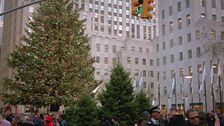 Trailer - Miracoli a Natale
