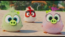 Trailer - Angry birds 2 - Nemici amici per sempre