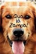 Trailer - Qua la zampa!