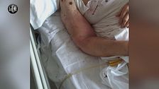 PECORARO Ospedali da sogno Versione web