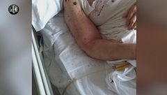 PECORARO Ospedali da sogno Versione web