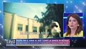 Paura per il virus, com'è la sanità in Sicilia