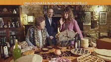 Lunedì 11 novembre