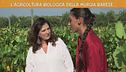 L'agricoltura biologica della Murgia barese