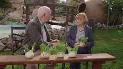 Giovedì 14 novembre | Palinuro