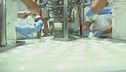 Nel regno dei latticini