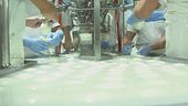 Nel regno dei latticini