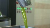 L'olio extravergine