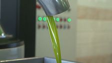 L'olio extravergine