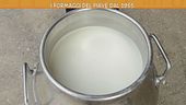 I formaggi del Piave dal 1955