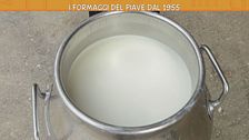 I formaggi del Piave dal 1955