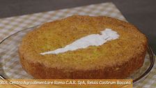 Torta di carote