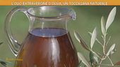 L'olio extravergine d'oliva
