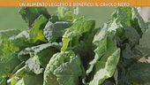 Il cavolo nero