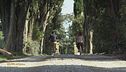 Escursioni e relax tra le colline di Arezzo