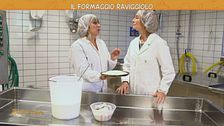 Il formaggio Raviggiolo