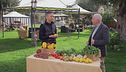 Il limone, un pieno di vitamina C