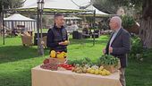 Il limone, un pieno di vitamina C