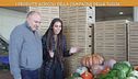I prodotti agricoli della campagna della Tuscia