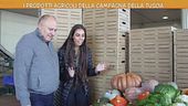 I prodotti agricoli della campagna della Tuscia