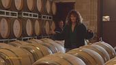 I vini del Salento