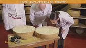L'eccellenza casearia del Trentino