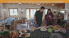 L'allevamento delle trote della Val Rendena