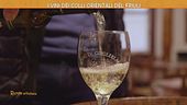 I vini dei colli orientali del Friuli