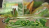 L'insalata bio