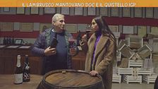 Il Lambrusco mantovano DOP e il Quistello IGP