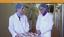 I salamini italiani alla cacciatora Dop